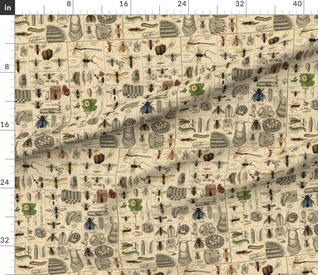 Entomology Bugs Science Bees Natural World Bug Classroom Custom Printed Fabric by Spoonflower Various Fabrics by the Yard or Fat Quarter